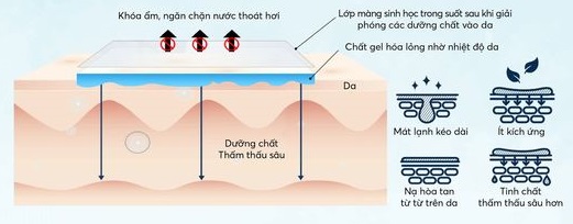 Gia Công Mặt nạ Melting Mask (Hydrogel / Hydrojel Mask) - Mặt nạ tan chảy 15 cơ chế tan chảy mặt nạ melting mask