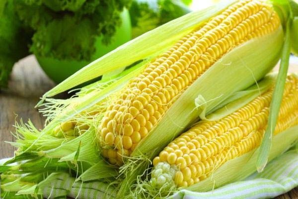 Gia công Kem chống nắng toàn thân - Bảo vệ da toàn diện 10 chiết xuất hạt bắp