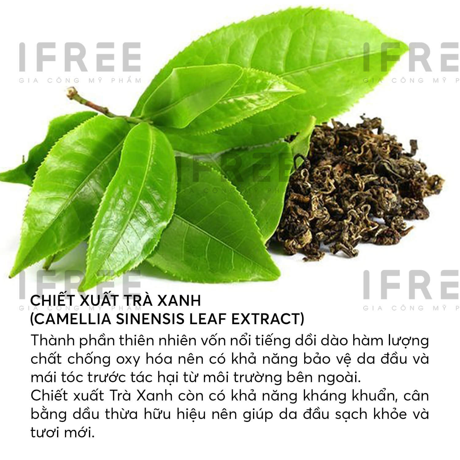 Gia công xịt kích thích mọc tóc Redensyl 2 Gia công xịt kích thích mọc tóc Redensyl