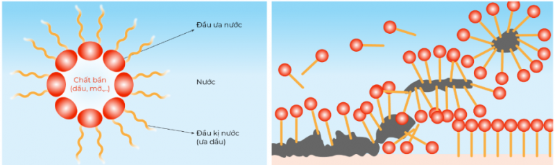 Gia công Kem rửa mặt fatty acid - Sạch sâu, ẩm mịn 4 Cơ chế hoạt động của Kem rửa mặt fatty acid được gia công bởi Gefco