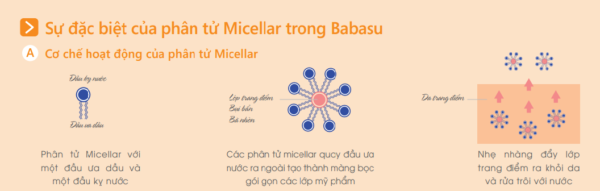 Gia công Nước tẩy trang cho da dầu mụn Babassu Micellar 11 cơ chế tẩy trang micellar