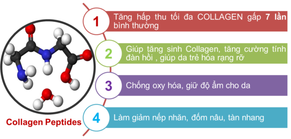 Gia công Serum Collagen ball chống lão hóa 12 công dụng collagen peptides