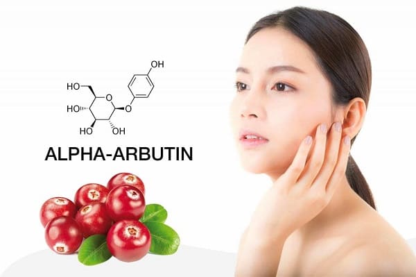 Gia công kem dưỡng trắng mờ thâm nám 5% Niacinamide 2 kem body alpha arbutin review