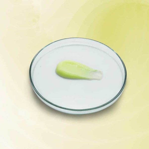 Gia công Kem mụn tràm trà 24 kem trị mụn giảm sưng trong 4 giờ