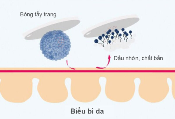 Gia công Nước tẩy trang Micellar Water 4 tẩy trang micelle