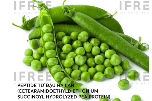 peptide đậu hà lan peptide đậu hà lan