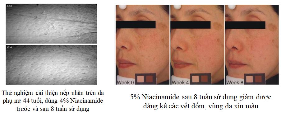 Gia công Kem trị nám 14 ngày cao cấp 13 Hiệu quả cải thiện sau 2 tuần và 8 tuần khi sử dụng Kem trị nám 14 ngày cao cấp được gia công sản xuất bởi iFREE