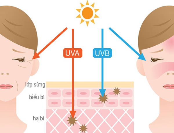 Gia công Kem chống nắng SPF 50, PA+++ 2 tác hại tia uv